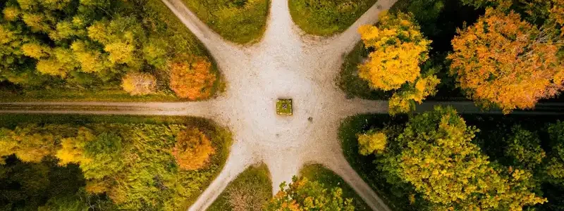 Como fazer transição de carreira: por onde começar?